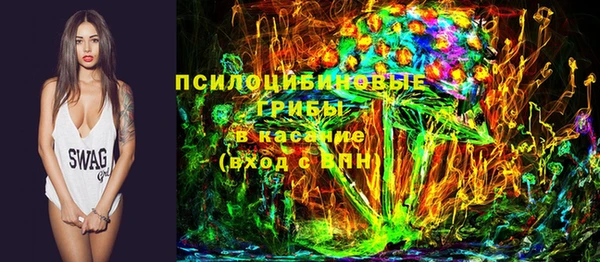 2c-b Михайловка