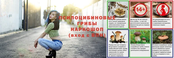 2c-b Михайловка